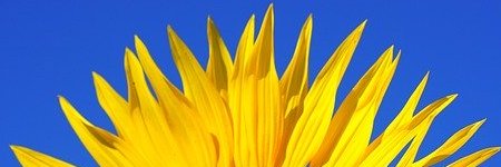 Energie update Gele Zon levenspad 8-20 mei 2020: Laat je licht stralen!